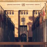 Review of UN's Paper on Organised Fraud